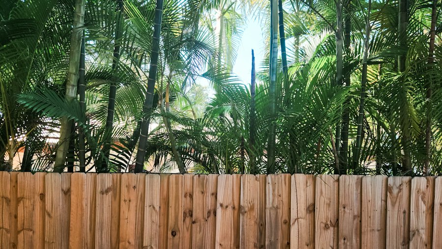 New wooden privacy fence